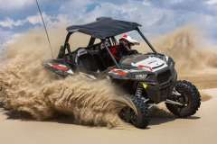 RZR3113